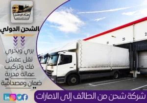 شركة شحن من الطائف إلى الإمارات