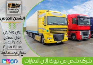 شركة شحن من تبوك إلى الإمارات